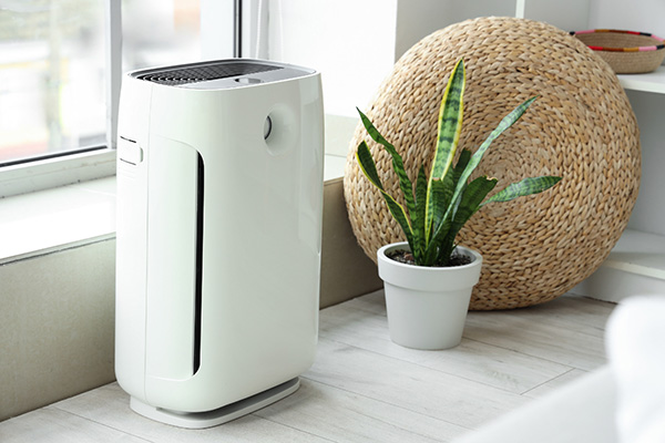 Hỗ Trợ Loại Bỏ Phấn Hoa, Nấm Mốc Và Tác Nhân Gây Dị Ứng